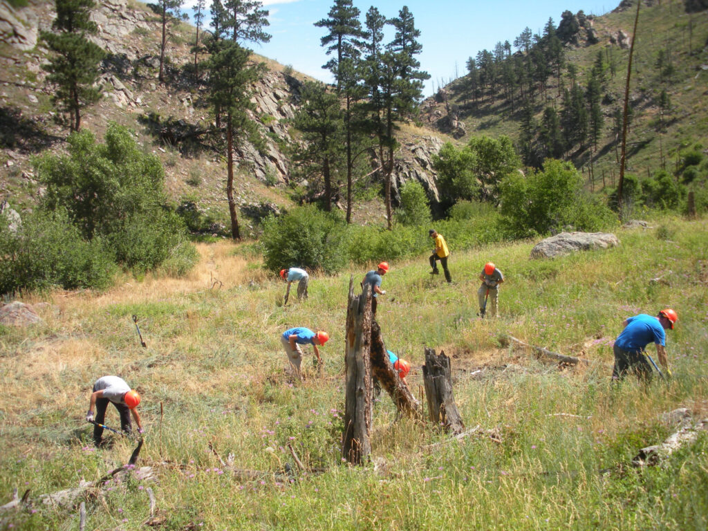 Spruce Gulch